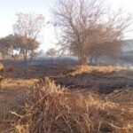 incendio-pastizales-hiper-libertad-salta-en-llama