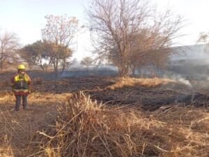 incendio-pastizales-hiper-libertad-salta-en-llama