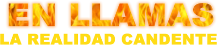 logo-en-llamas