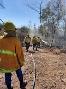 Incendio Forestal en Colonia Santa Rosa. Más de 1000 hectáreas consumidas por el fuego. Bomberos Voluntarios con intenso trabajo para sofocar el siniestro.