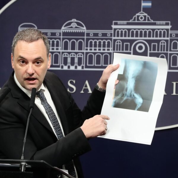 La radiografía del perro que se usó para obtener una pensión por discapacidad: detalles de una maniobra insólita