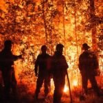 Tres adolescentes argentinas crearon una app para prevenir incendios forestales