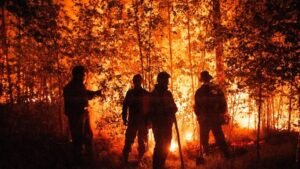 Tres adolescentes argentinas crearon una app para prevenir incendios forestales