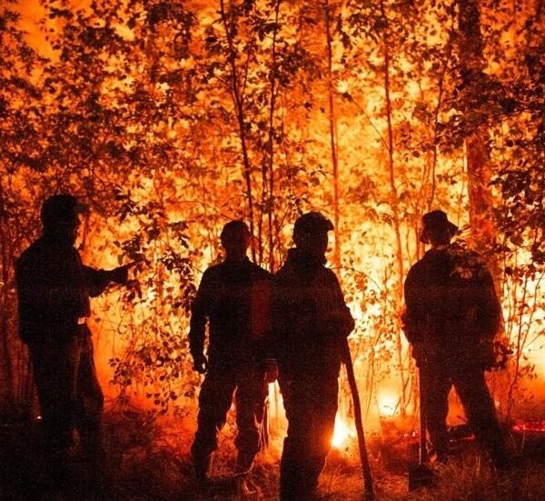 Tres adolescentes argentinas crearon una app para prevenir incendios forestales