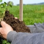 El mundo cambió: Una universidad nacional comenzará a dictar una diplomatura en agricultura regenerativa
