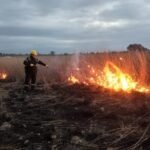Incendios forestales: Piden extremar recaudos por los fuertes calores