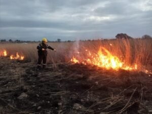 Incendios forestales: Piden extremar recaudos por los fuertes calores