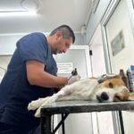 CASTRACIÓN: EL MÓVIL DE CASTRACIÓN ATENDERÁ LA PRÓXIMA SEMANA EN EL BARRIO 20 DE FEBRERO