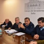 Salud Pública detalló en el Senado el plan de contingencia para enfrentar la temporada de dengue en Salta