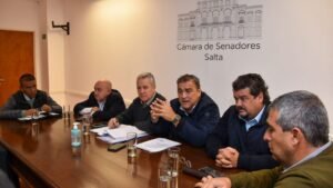 Salud Pública detalló en el Senado el plan de contingencia para enfrentar la temporada de dengue en Salta