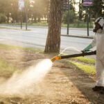 Resistencia a insecticidas: hallan mutación inédita en mosquitos del dengue en el norte