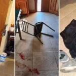 Denunciaron a dos hombres por arrojarle abejas a policías durante un desalojo en Cafayate