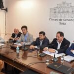 El Senado inició el análisis del Proyecto de Ley que propicia la implementación del Juicio por Jurados en Salta