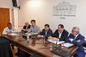 El Senado inició el análisis del Proyecto de Ley que propicia la implementación del Juicio por Jurados en Salta
