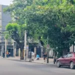 Por avance de obras, se anularán temporalmente paradas de colectivo en calle Pellegrini