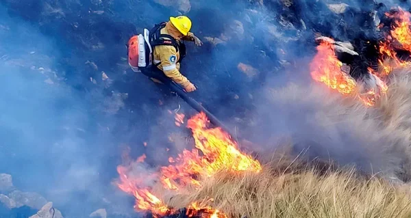 Sin tregua en Chubut: otro incendio, ahora en Puerto Madryn