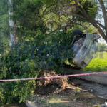 Volcó su auto, derribó un árbol y casi termina dentro de una escuela en Santa Cecilia
