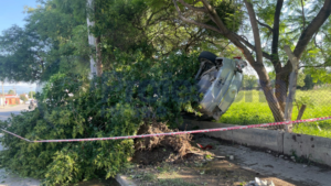 Volcó su auto, derribó un árbol y casi termina dentro de una escuela en Santa Cecilia