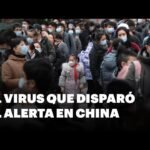 Qué es el HMPV, el virus respiratorio que disparó el alerta en China
