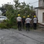 RELEVAMIENTOS: EL SISTEMA DE EMERGENCIAS MUNICIPAL 105 RECIBIĂ“ 46 LLAMADOS TRAS LA TORMENTA DEL DĂŤA JUEVES