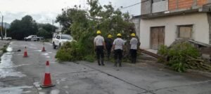 RELEVAMIENTOS: EL SISTEMA DE EMERGENCIAS MUNICIPAL 105 RECIBIÓ 46 LLAMADOS TRAS LA TORMENTA DEL DÍA JUEVES