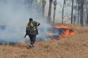 En Salta, se trabaja para la prevención de incendios: “La mayoría vienen de la mano del hombre”