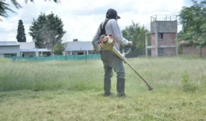 Se puso en marcha el plan de ‘Puestas a punto de las escuelas’ antes del inicio de clases