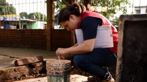 Inició la detección de criaderos de Aedes aegypti en la zona sur de la Capital