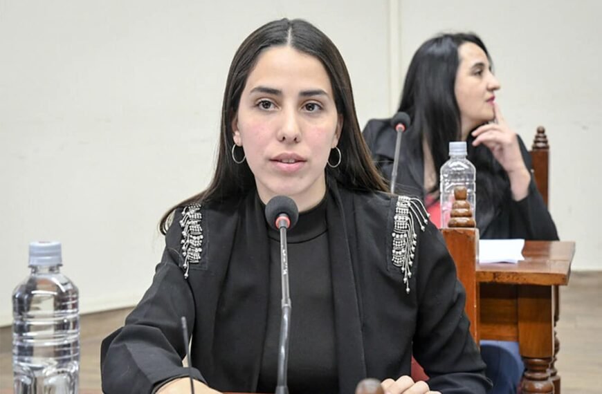 Para Agustina Álvarez el plan de obras debe tener respaldo y la regulación del transporte es confusa