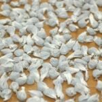 Secuestran más de 180 dosis de pasta base de cocaína en Orán