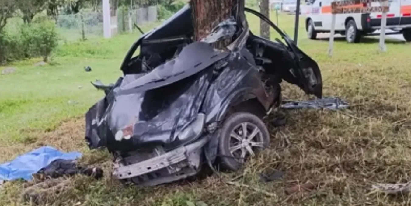 Ruta a Lesser: automovilista chocó contra un árbol y perdió la vida