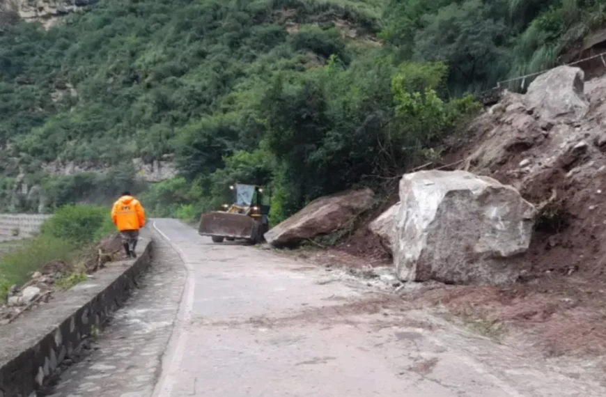 Realizaron tareas de despeje en la ruta provincial 33