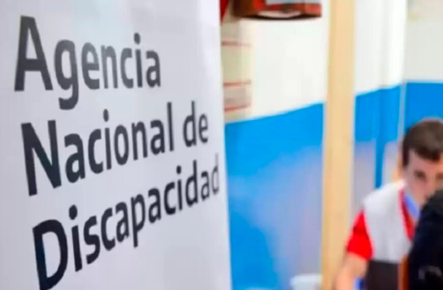 Pensiones por discapacidad: Piden plazos para las auditorías y que se articule con las provincias