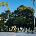 Dos años después, desalojaron la “carpa docente” de Plaza 9 de Julio