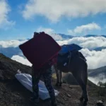 Urnas a lomo de mula: la travesía para garantizar el voto en los parajes más alejados de Salta