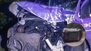 Un caballo suelto casi provoca una tragedia vial cerca del ex peaje Aunor