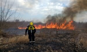 Coordinan acciones para prevenir incendios de pastizales y forestales