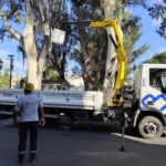 Realizan podas de seguridad en el parque San Martín