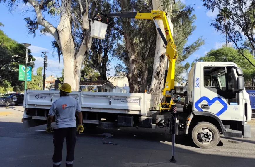 Realizan podas de seguridad en el parque San Martín