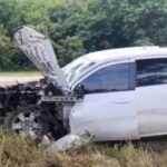 RN50: Un empresario murió tras impactar su vehículo con un toro