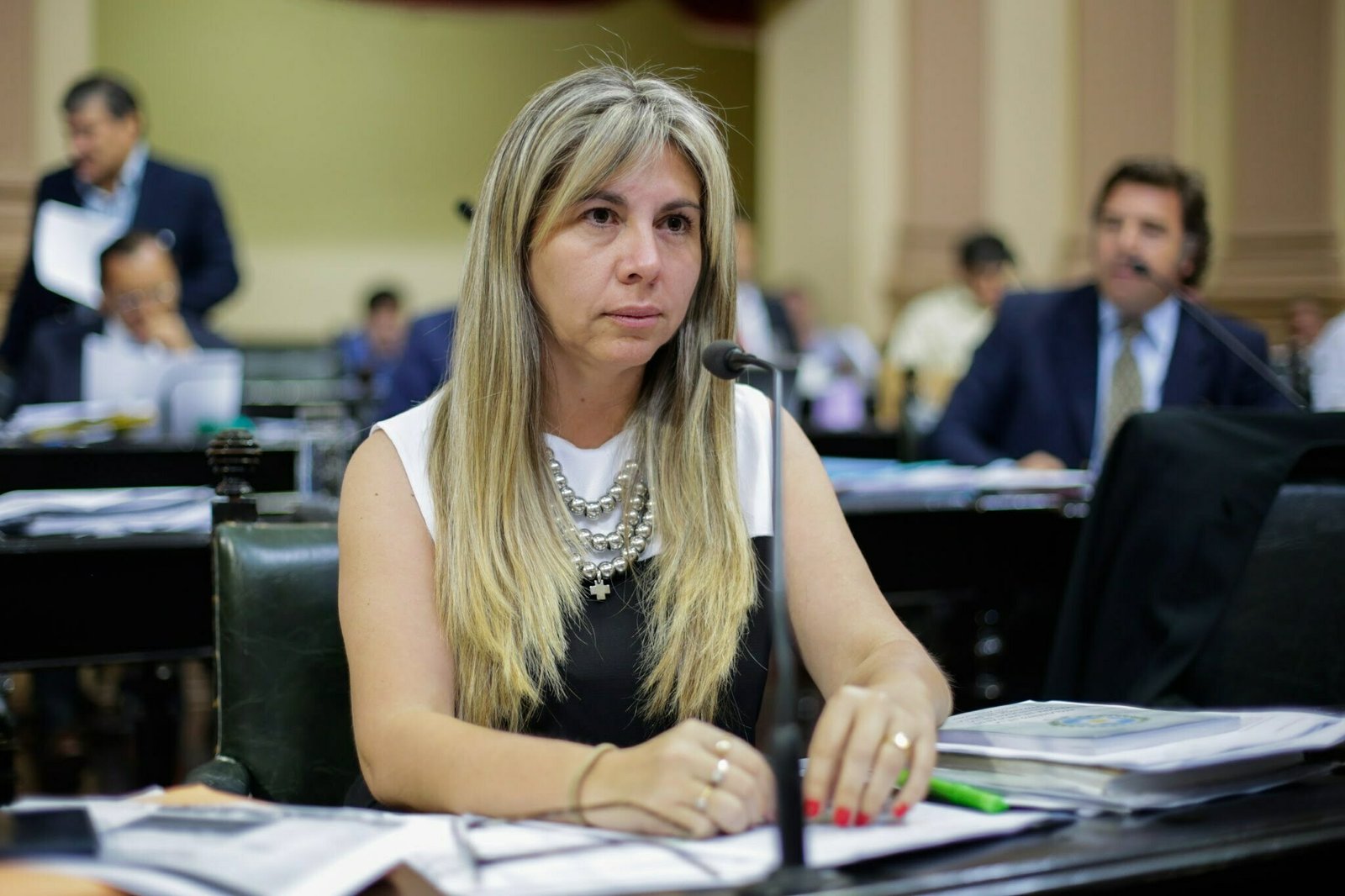 Salta Forestal: solicitan reuniones unificadas para analizar en profundidad el proyecto