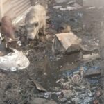 Padres toman la Escuela N° 4123 de Santa MarĂa por el pĂ©simo estado edilicio