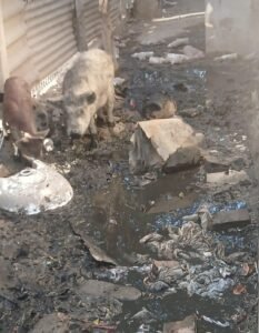 Padres toman la Escuela N° 4123 de Santa María por el pésimo estado edilicio