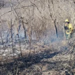 Cerro San Bernardo: Dos incendios de pastizales debieron ser sofocados