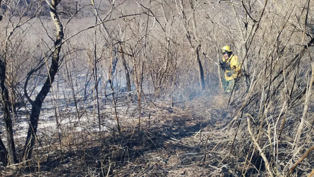 Cerro San Bernardo: Dos incendios de pastizales debieron ser sofocados