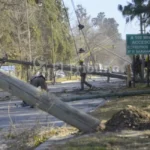 El viento zonda no da tregua: postes vencidos y peligro latente en la ciudad de Salta