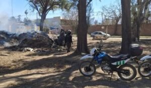 CINCO MASCULINOS FUERON DETENIDOS Y SANCIONADOS POR LA QUEMA DE PASTIZALES EN LA ZONA SUDESTE