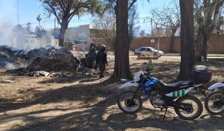CINCO MASCULINOS FUERON DETENIDOS Y SANCIONADOS POR LA QUEMA DE PASTIZALES EN LA ZONA SUDESTE