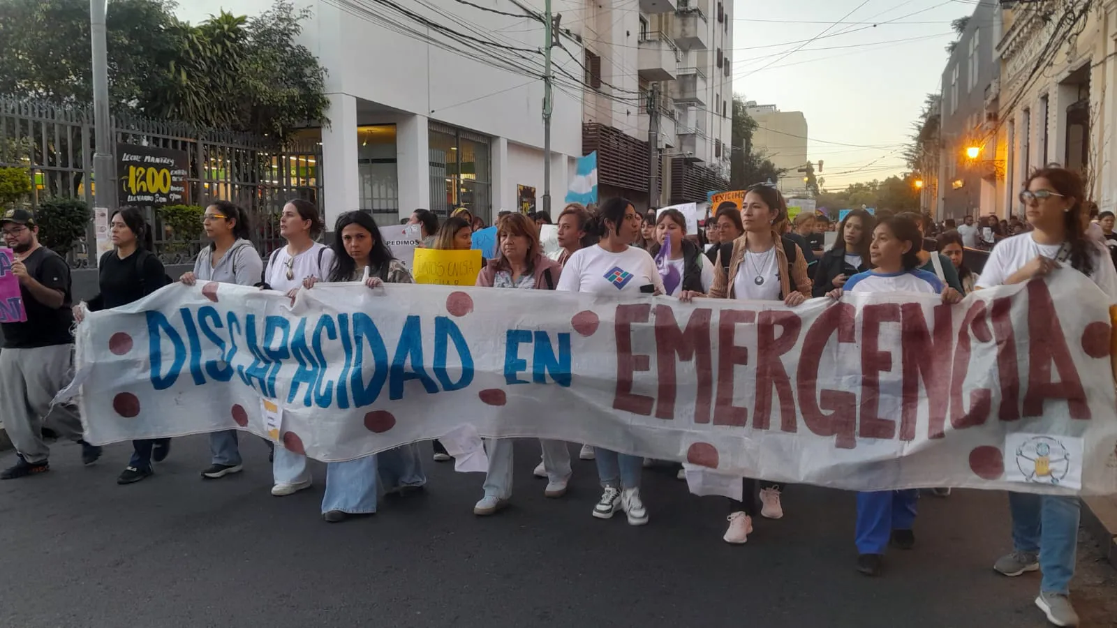 “Si cobraran el sueldo meses después, ¿votarían en contra?”: reclamo a legisladores por la Emergencia en Discapacidad