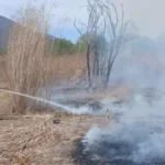 Importante operativo para controlar un incendio de pastizales en La Isla